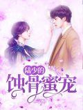 蚀骨婚宠陆少我会乖